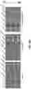 Fig. 46 - PH-ACTIVATED NANOPARTICLES