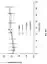Fig. 47 - PH-ACTIVATED NANOPARTICLES