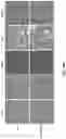Fig. 48 - PH-ACTIVATED NANOPARTICLES