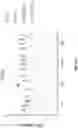 Fig. 51 - PH-ACTIVATED NANOPARTICLES