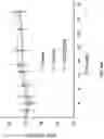 Fig. 56 - PH-ACTIVATED NANOPARTICLES