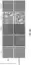 Fig. 57 - PH-ACTIVATED NANOPARTICLES