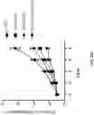 Fig. 74 - PH-ACTIVATED NANOPARTICLES