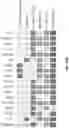 Fig. 77 - PH-ACTIVATED NANOPARTICLES