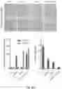 Fig. 78 - PH-ACTIVATED NANOPARTICLES