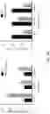 Fig. 80 - PH-ACTIVATED NANOPARTICLES