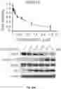 Fig. 82 - PH-ACTIVATED NANOPARTICLES