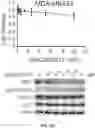 Fig. 84 - PH-ACTIVATED NANOPARTICLES