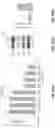 Fig. 86 - PH-ACTIVATED NANOPARTICLES