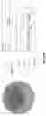 Fig. 94 - PH-ACTIVATED NANOPARTICLES