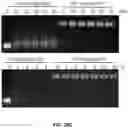 Fig. 96 - PH-ACTIVATED NANOPARTICLES