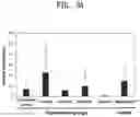 Fig. 06 - External use composition comprising paeonol and panthenol or pharmaceutically acceptable salts thereof as active ingredients