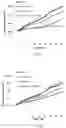 Fig. 06 - Methods of treating squamous cell carcinomas with farnesyltransferase inhibitors