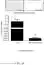 Fig. 07 - METHOD FOR PREVENTING OR TREATING HIGH-GRADE SEROUS CARCINOMA