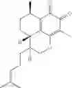 Fig. 172 - MEDICINAL USE OF SERRULATANE DITERPENES
