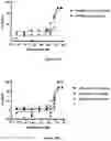 Fig. 22 - MEDICINAL USE OF SERRULATANE DITERPENES
