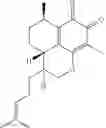Fig. 70 - MEDICINAL USE OF SERRULATANE DITERPENES