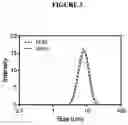 Fig. 04 - Lecithin Vesicles
