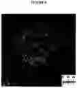 Fig. 06 - Lecithin Vesicles