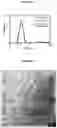 Fig. 09 - Lecithin Vesicles