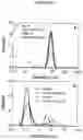 Fig. 11 - Lecithin Vesicles