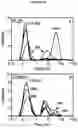 Fig. 14 - Lecithin Vesicles