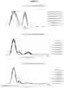 Fig. 19 - Lecithin Vesicles