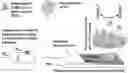 Fig. 01 - Biosensing platform for detecting viral infections and methods for screening a modulator of viral infections and protecting therefrom