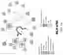 Fig. 04 - Biosensing platform for detecting viral infections and methods for screening a modulator of viral infections and protecting therefrom