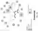 Fig. 05 - Biosensing platform for detecting viral infections and methods for screening a modulator of viral infections and protecting therefrom