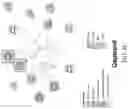 Fig. 08 - Biosensing platform for detecting viral infections and methods for screening a modulator of viral infections and protecting therefrom