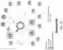 Fig. 09 - Biosensing platform for detecting viral infections and methods for screening a modulator of viral infections and protecting therefrom