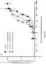 Fig. 22 - Biosensing platform for detecting viral infections and methods for screening a modulator of viral infections and protecting therefrom