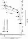 Fig. 24 - Biosensing platform for detecting viral infections and methods for screening a modulator of viral infections and protecting therefrom