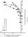 Fig. 26 - Biosensing platform for detecting viral infections and methods for screening a modulator of viral infections and protecting therefrom