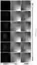 Fig. 35 - Biosensing platform for detecting viral infections and methods for screening a modulator of viral infections and protecting therefrom