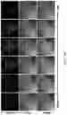 Fig. 37 - Biosensing platform for detecting viral infections and methods for screening a modulator of viral infections and protecting therefrom