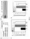 Fig. 09 - Use of small molecule inhibitors of the BfrB:Bfd interaction in biofilms