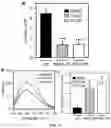 Fig. 12 - Use of small molecule inhibitors of the BfrB:Bfd interaction in biofilms