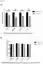 Fig. 02 - Composition for improving milk quality and preparation method and application thereof
