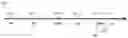 Fig. 02 - COMPOSITION FOR INCREASING PREGNANCY RATE OF RUMINANTS AND PREPARATION METHOD AND APPLICATION THEREOF
