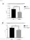 Fig. 04 - COMPOSITION FOR INCREASING PREGNANCY RATE OF RUMINANTS AND PREPARATION METHOD AND APPLICATION THEREOF