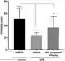 Fig. 01 - CARBAMATE COMPOUND AND USE OF FORMULATION COMPRISING SAME IN PREVENTING, ALLEVIATING, OR TREATING ACUTE STRESS DISORDER OR POST-TRAUMATIC STRESS DISORDER