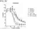 Fig. 06 - METHODS AND COMPOSITIONS FOR TREATING NON-ERK MAPK PATHWAY INHIBITOR-RESISTANT CANCERS