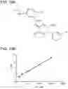 Fig. 118 - METHODS AND COMPOSITIONS FOR TREATING NON-ERK MAPK PATHWAY INHIBITOR-RESISTANT CANCERS