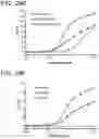 Fig. 120 - METHODS AND COMPOSITIONS FOR TREATING NON-ERK MAPK PATHWAY INHIBITOR-RESISTANT CANCERS