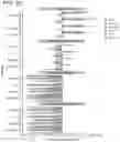 Fig. 130 - METHODS AND COMPOSITIONS FOR TREATING NON-ERK MAPK PATHWAY INHIBITOR-RESISTANT CANCERS