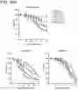 Fig. 134 - METHODS AND COMPOSITIONS FOR TREATING NON-ERK MAPK PATHWAY INHIBITOR-RESISTANT CANCERS