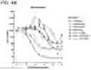 Fig. 15 - METHODS AND COMPOSITIONS FOR TREATING NON-ERK MAPK PATHWAY INHIBITOR-RESISTANT CANCERS