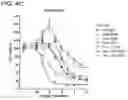 Fig. 16 - METHODS AND COMPOSITIONS FOR TREATING NON-ERK MAPK PATHWAY INHIBITOR-RESISTANT CANCERS